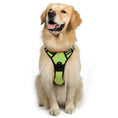 Load image into Gallery viewer, Large Dog Vest Leash For Dogs
