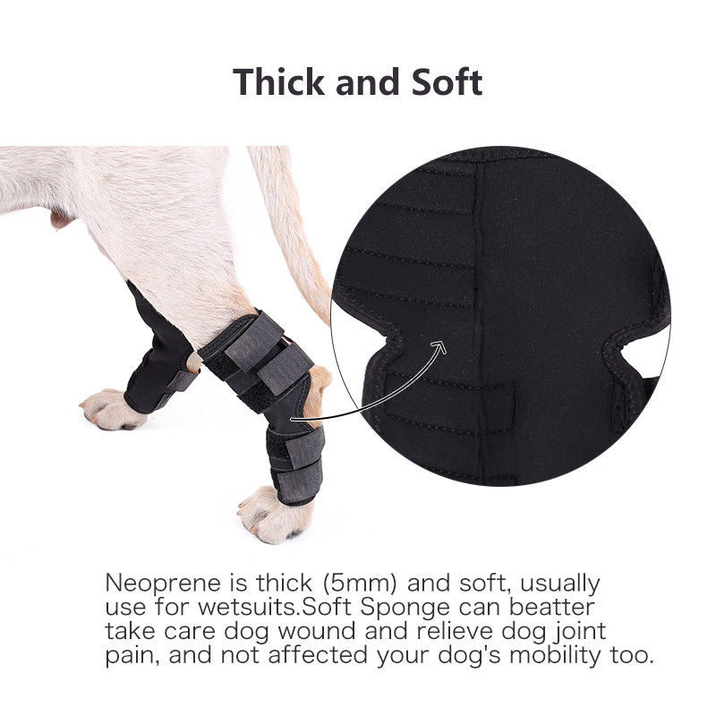 Surgery Recovery Protects Joint Pet Knee Protector