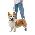 Load image into Gallery viewer, Dog Traction Rope With Light Automatically Retractable Small And Medium-sized Dogs
