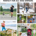 Load image into Gallery viewer, Hands Free Walking And Training Belt With Leash For Up To 180lbs Dogs With Phone Pocket And Water Bottle Holder
