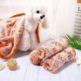 Load image into Gallery viewer, Pet Blanket Dog Cat Coral Fleece Blanket
