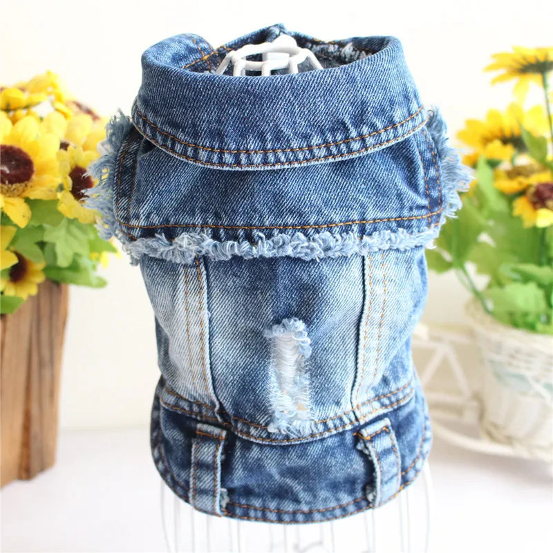 Denim Dog Clothes for Pitbull Dachshund Fashion Dog Jean Jacket