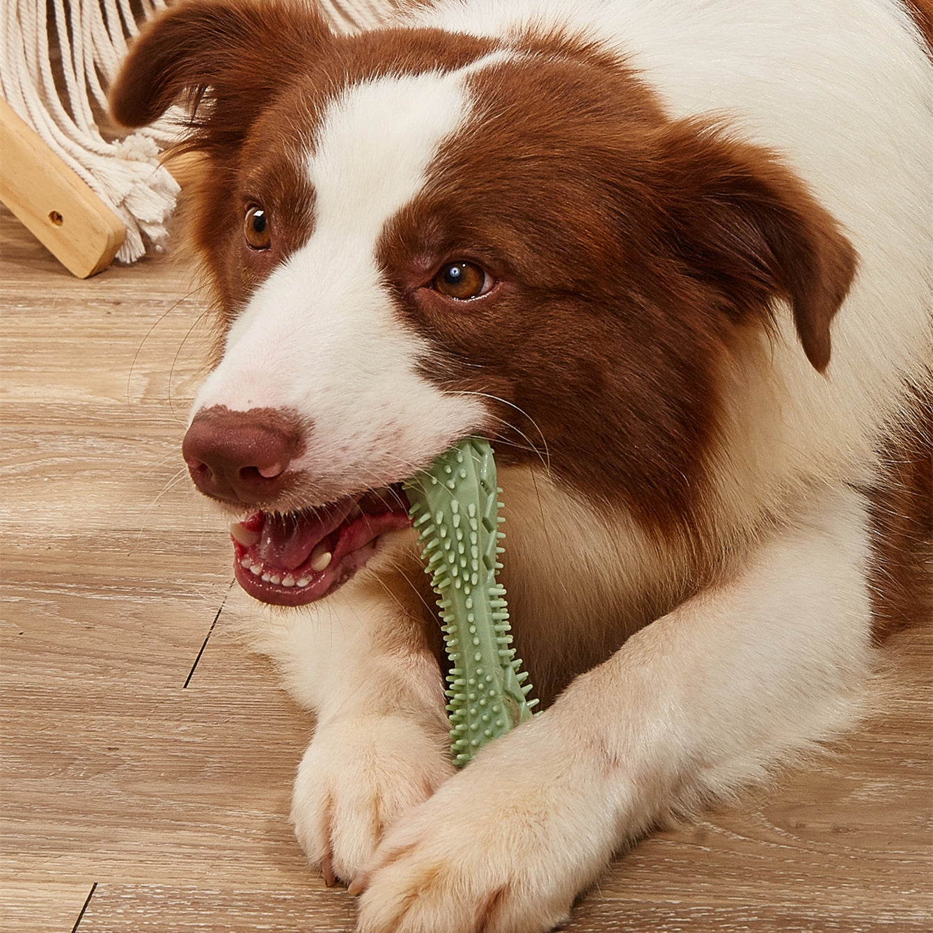 Toothbrush Teeth Cleaning Stick Dog Chewing Toys