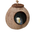 Load image into Gallery viewer, Natural coconut shell bird nest
