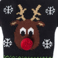 Load image into Gallery viewer, Christmas Pet Sweater
