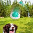 Load image into Gallery viewer, Dog Toy Sound Interaction Teether Ball Pet Supplies
