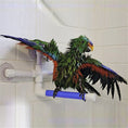 Load image into Gallery viewer, Parrot bath shower stand
