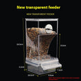 Load image into Gallery viewer, Transparent Automatic Plug-in Bird Food Container
