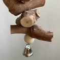 Cargar la imagen en la vista de la galería, Parrot Vine Solid Wood Molar String With Bell
