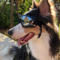 Load image into Gallery viewer, Pet Glasses Dog Sunglasses Supplies
