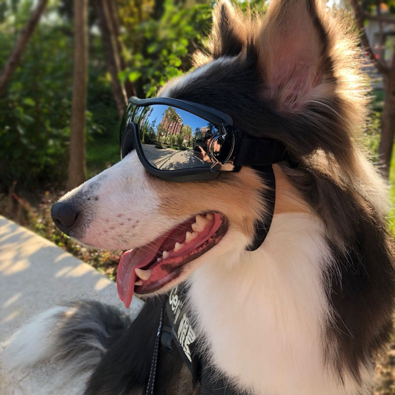 Pet Glasses Dog Sunglasses Supplies