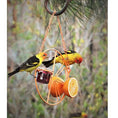 Bild in Galerie-Betrachter laden, Simple Outdoor Bird Feeding And Water Feeding
