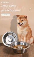 Load image into Gallery viewer, Pet Slow Food Stainless Steel Bowl And Tableware
