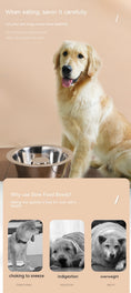 Load image into Gallery viewer, Pet Slow Food Stainless Steel Bowl And Tableware
