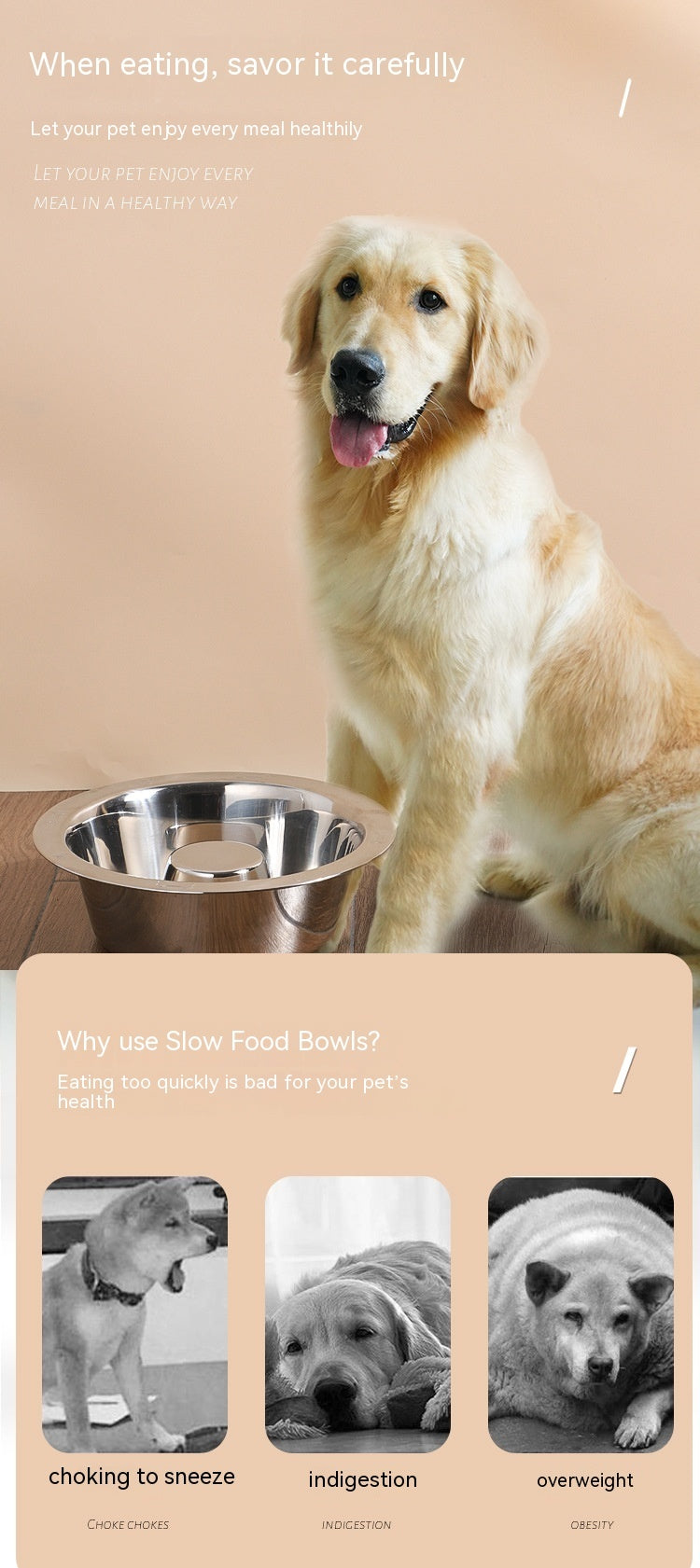 Pet Slow Food Stainless Steel Bowl And Tableware