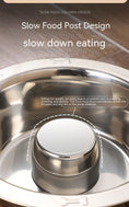 Load image into Gallery viewer, Pet Slow Food Stainless Steel Bowl And Tableware
