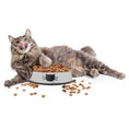 Load image into Gallery viewer, Stainless steel Cat pet bowls
