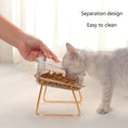 Load image into Gallery viewer, Cat and Dog Double Bowl with Stand Transparent Food Feeding Dish Metal Elevated Feeder
