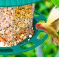 Load image into Gallery viewer, Outdoor Garden Hanging Transparent Bird Feeder
