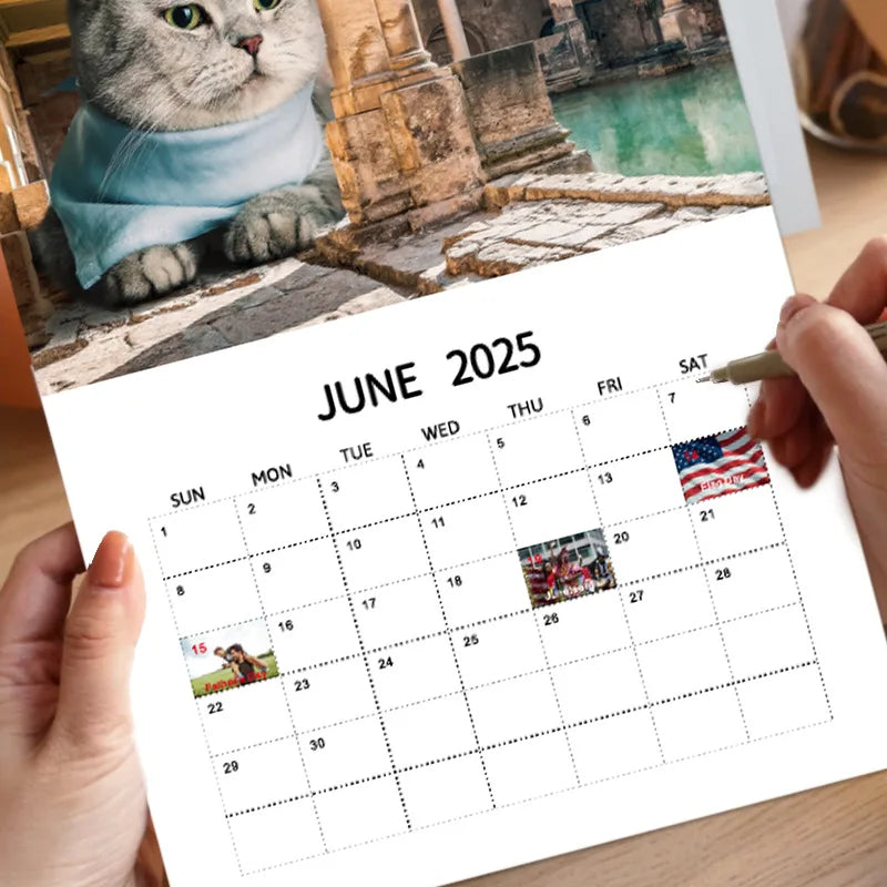 Urban Cat 2025 Wall Calendar 12 Months Hanging Calendar for Home Office Schedule Paper Year Planning Notes