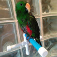 Load image into Gallery viewer, Parrot bath shower stand
