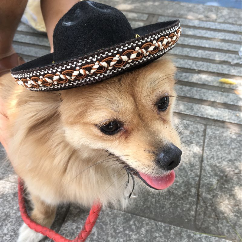 Mexican Style Pet Hat Dog Hat Pet Supplies