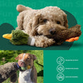 Load image into Gallery viewer, Best 2-in-1 Stuffless Squeaky Duck Toy With Soft, Durable Fabric For Small, Medium, And Large Dogs
