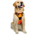 Load image into Gallery viewer, Large Dog Vest Leash For Dogs
