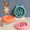 Load image into Gallery viewer, Pet Dog Cat Slow Feeder Bowls Anti Choking Slow Feeder Dish Bowl
