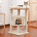 Load image into Gallery viewer, Cat Tree Tower With Indoor Condo, Scratching Posts, and Plush Perch Bed Furniture, 29inch
