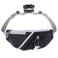 Load image into Gallery viewer, Portable Pet Dog Training Bag Waist Bags Wiht Dog Leash Pouch Obedience Agility Outdoor Feed Storage Waist Bag
