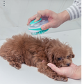 Load image into Gallery viewer, Pet Bath Massage Brush For Dogs
