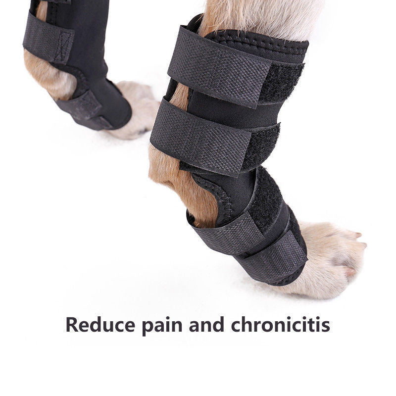 Surgery Recovery Protects Joint Pet Knee Protector