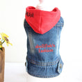 Load image into Gallery viewer, Denim Dog Clothes for Pitbull Dachshund Fashion Dog Jean Jacket
