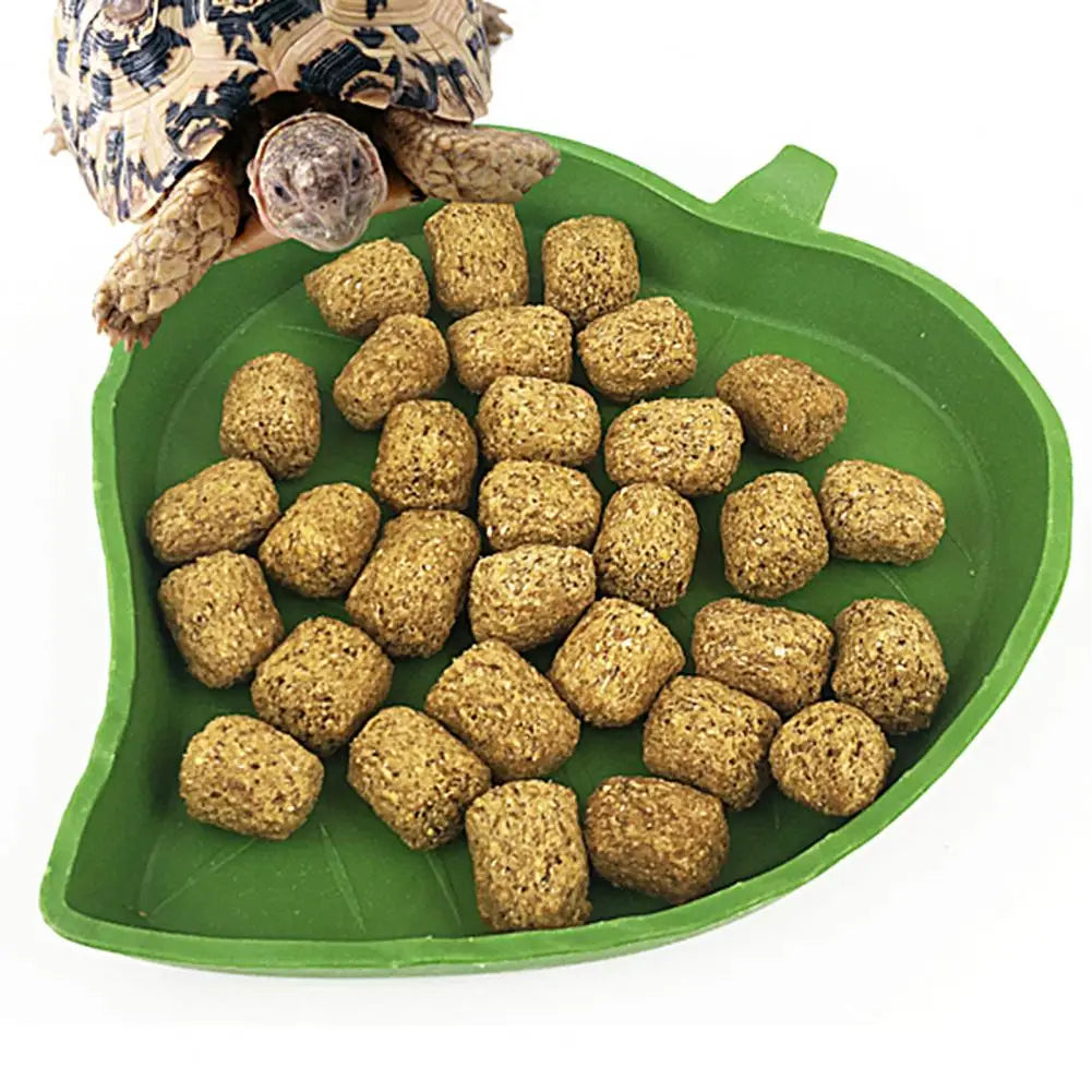 Leaf Shape Reptile Feeder Food Water Bowl Reptile  Feeder Bowl