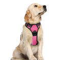 Load image into Gallery viewer, Large Dog Vest Leash For Dogs
