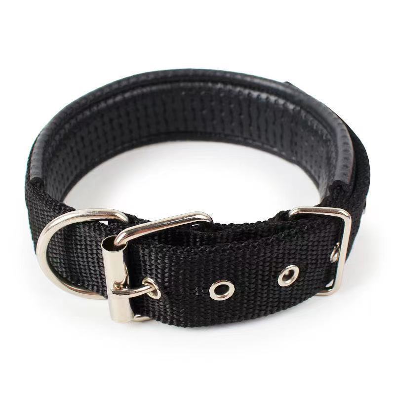 Dog Collars For Small Medium-Sized and Large Dogs