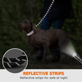 Load image into Gallery viewer, Dogs Leash Running Elasticity Hand Freely Pet Products Jogging Lead And Adjustable Waist Rope Leash Lead Training Padded Handle Reflective
