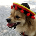 Load image into Gallery viewer, Mexican Style Pet Hat Dog Hat Pet Supplies
