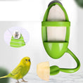 Load image into Gallery viewer, Parrot Food Rack Bird Cuttlefish Skeleton Food Box
