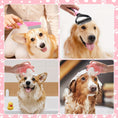 Load image into Gallery viewer, 8-piece Dog Beauty Tools Self-Cleaning Sets
