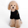 Load image into Gallery viewer, Christmas Pet Sweater
