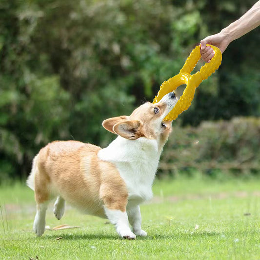 Pet Supplies Interactive Teeth Grinding Machine Pet Toys Pull Ring Dog Chewing Toys