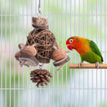 Load image into Gallery viewer, Fruit Wood Parrot Toy Bird Supplies
