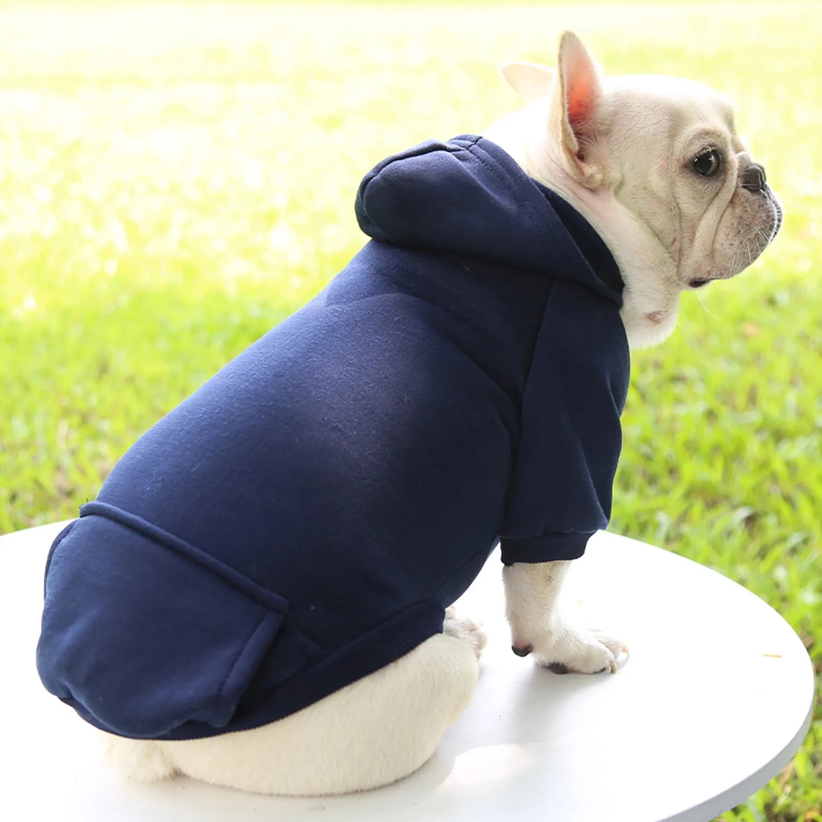 Dog Hoodie With Pocket Fall Winter Warm Soft Fleece Pet Clothes