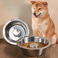 Load image into Gallery viewer, Pet Slow Food Stainless Steel Bowl And Tableware
