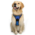 Load image into Gallery viewer, Large Dog Vest Leash For Dogs
