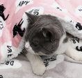 Load image into Gallery viewer, Cats Fleece Mat Pet Blankets
