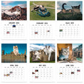 Load image into Gallery viewer, Urban Cat 2025 Wall Calendar 12 Months Hanging Calendar for Home Office Schedule Paper Year Planning Notes
