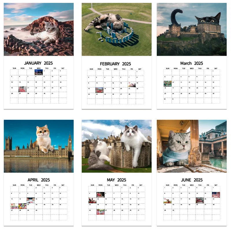 Urban Cat 2025 Wall Calendar 12 Months Hanging Calendar for Home Office Schedule Paper Year Planning Notes